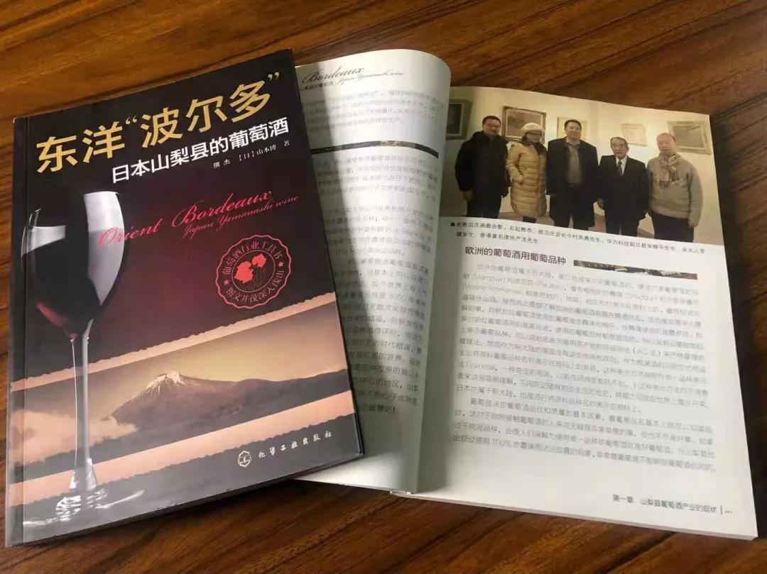 东洋波尔多